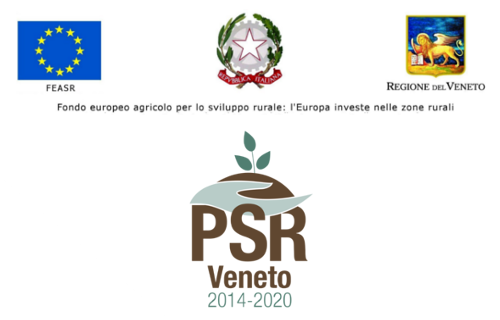 Fondo europeo agricolo per lo sviluppo rurale